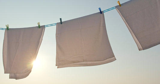 Wäsche trocknen: Trockner oder Wäscheleine?